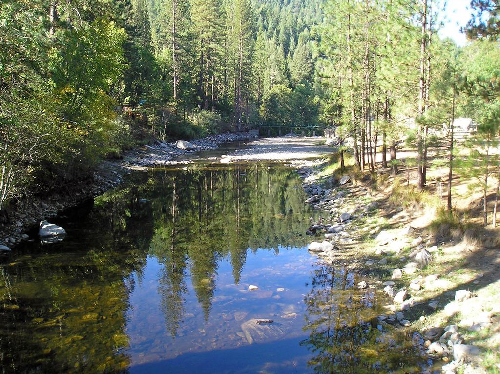 Yosemite Lakes Cottage 52 Harden Flat Extérieur photo